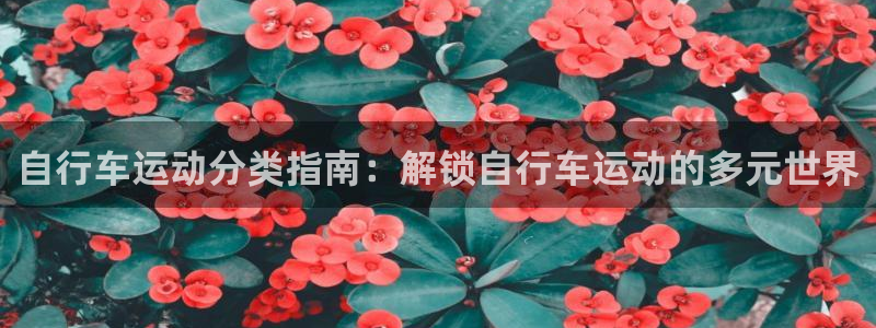 尊龙凯时平台怎么样