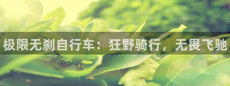 尊龙凯时人生就博官网登录